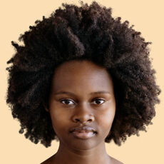 box2h3-350x330_0004_Layer-6_0002_137696